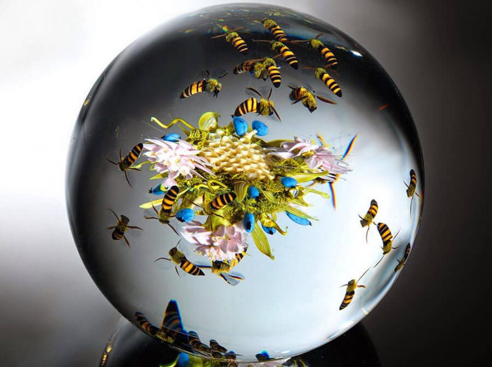 Дори пчелите са направени от стъкло