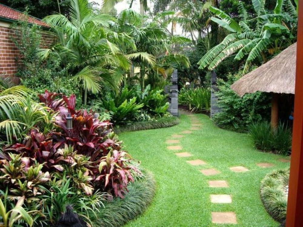 Да внесем палмова свежест в градината