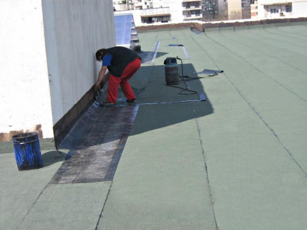 Снимка  от Явор Иванов