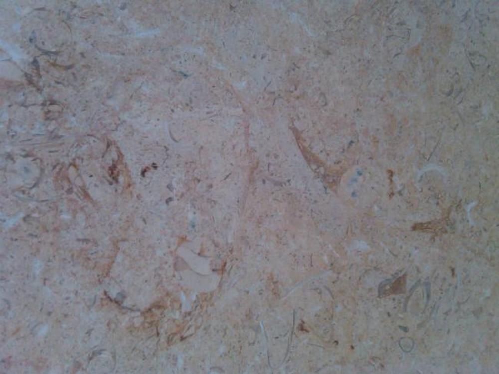 Снимка  от stela kreto