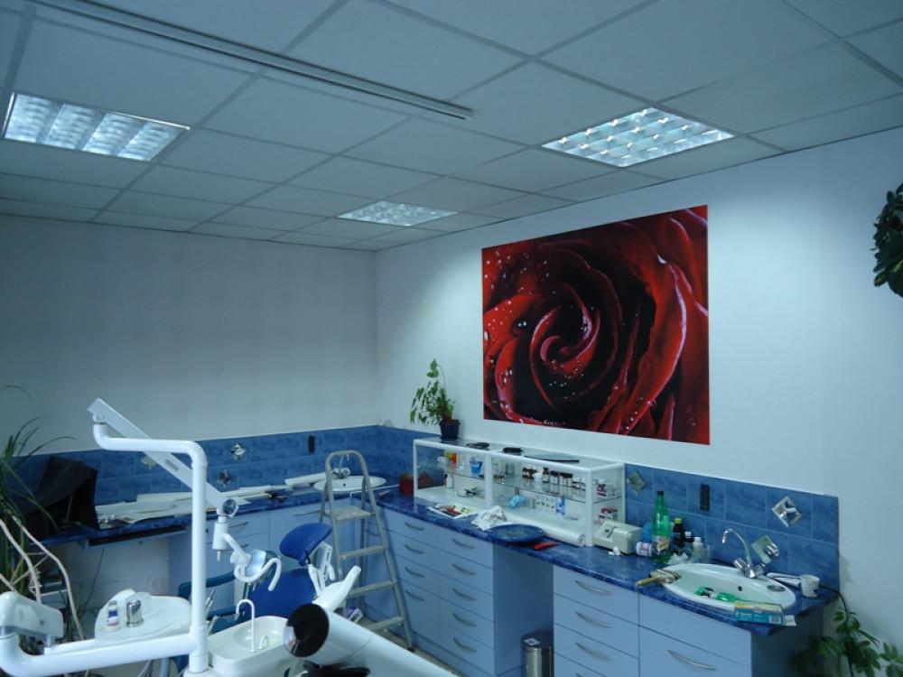 Снимка  от Николай Генов