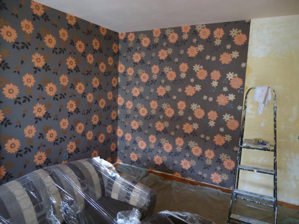 Снимка  от Николай Генов