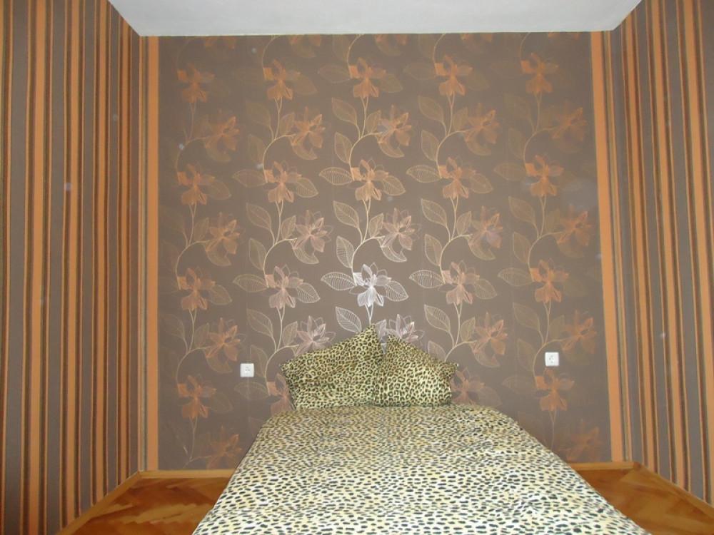 Снимка  от Николай Генов