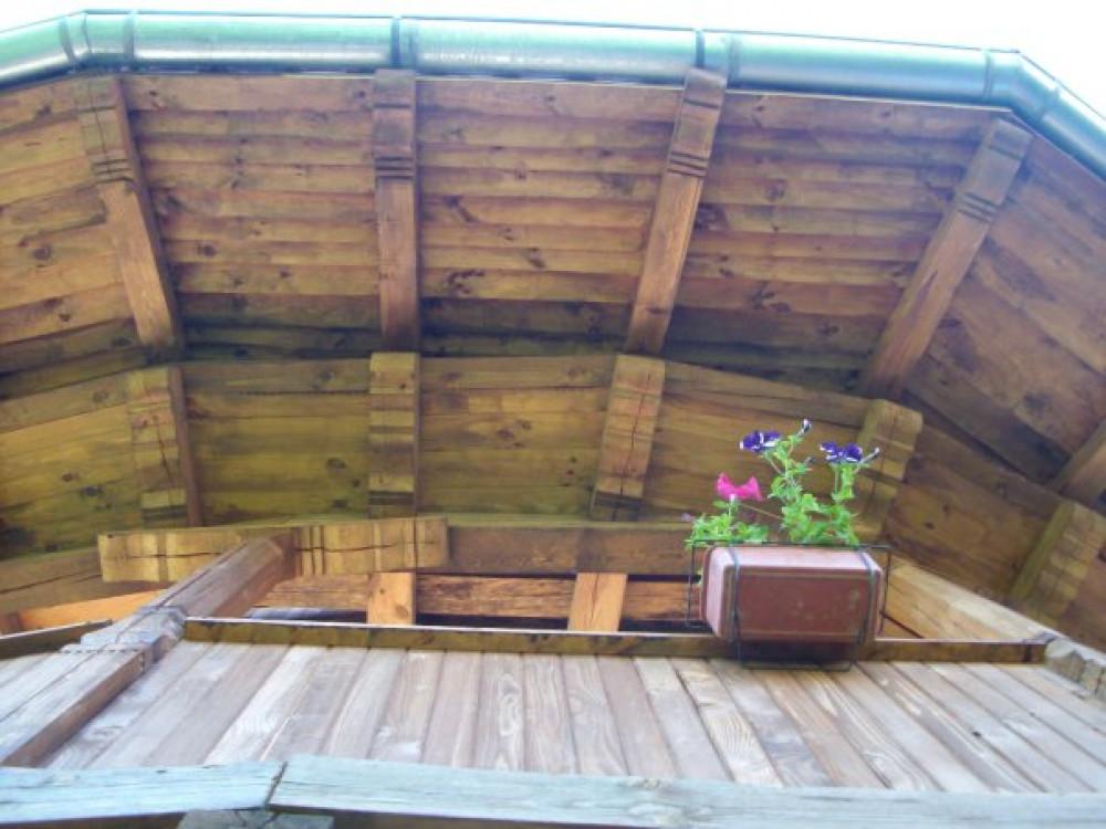 Снимка  от Румен Стефанов