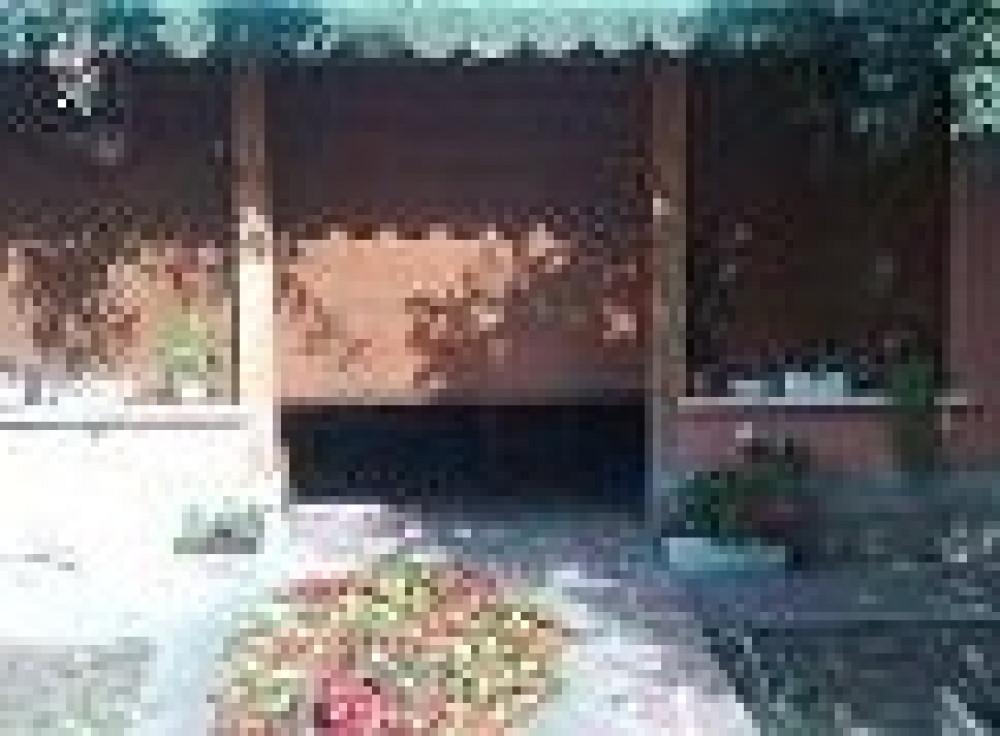 Снимка  от Боряна Стоянова