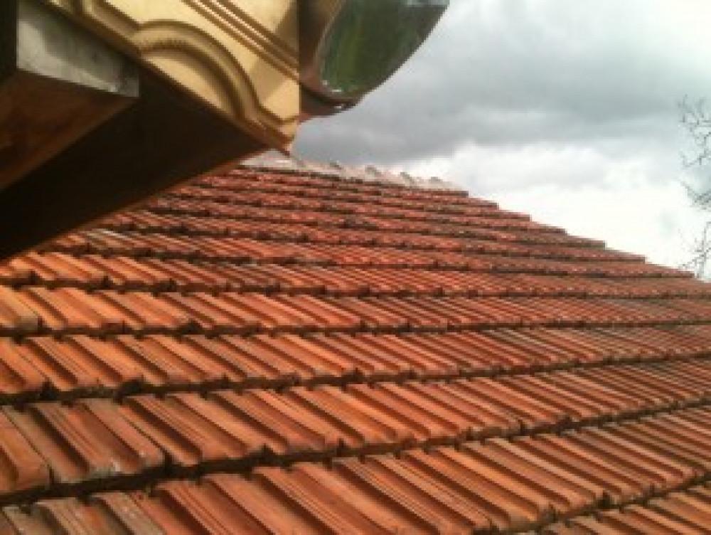 Снимка  от Трендафил Трендафилов