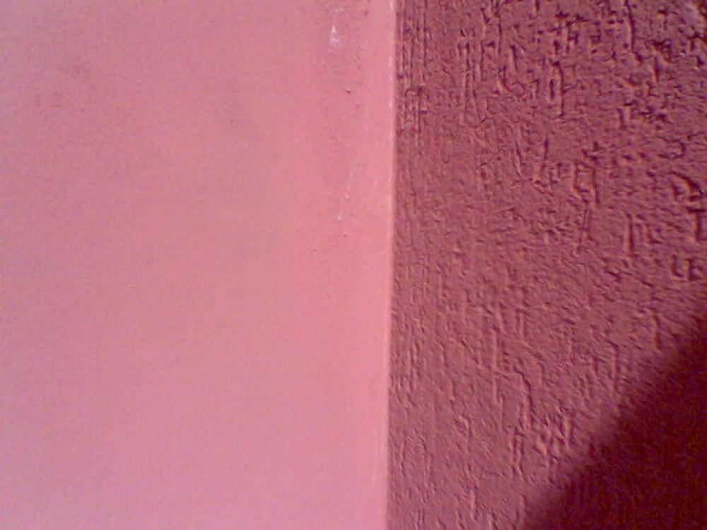 Снимка  от Цоню Стоянов