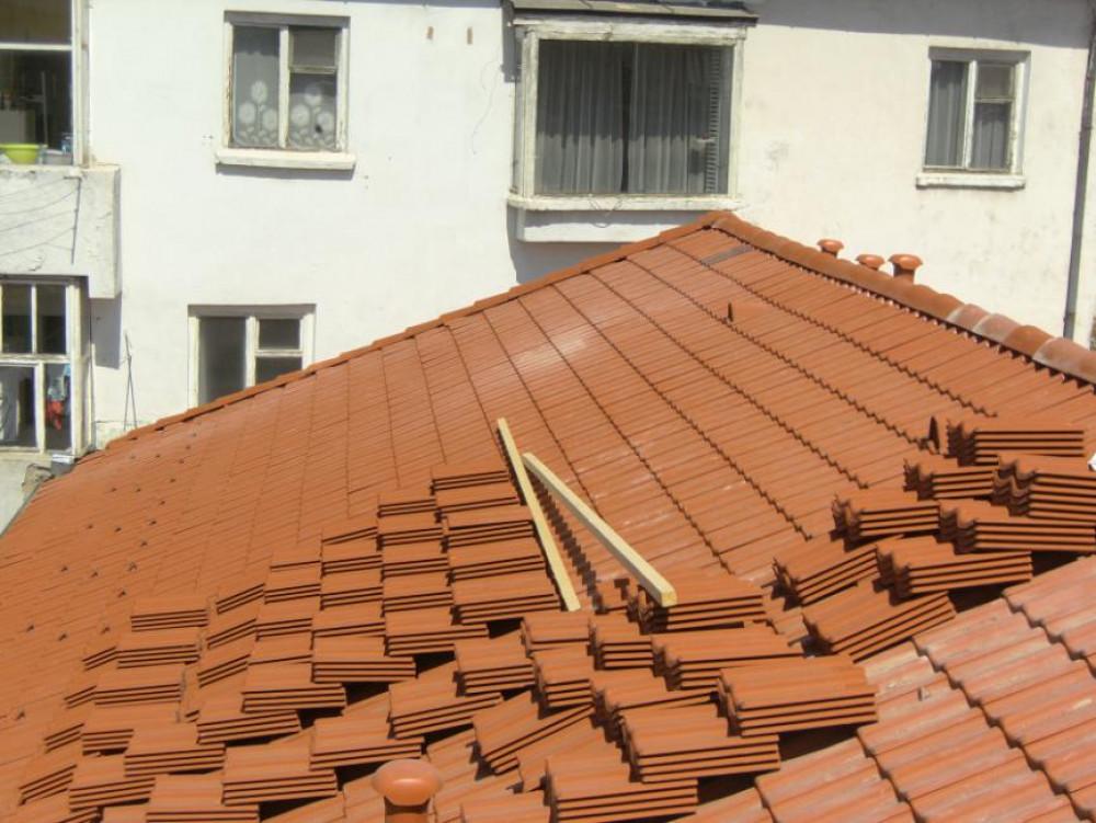 Снимка  от Камен Котов