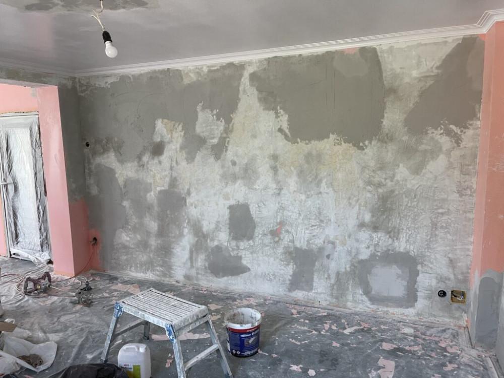 image_50429697-1024x768