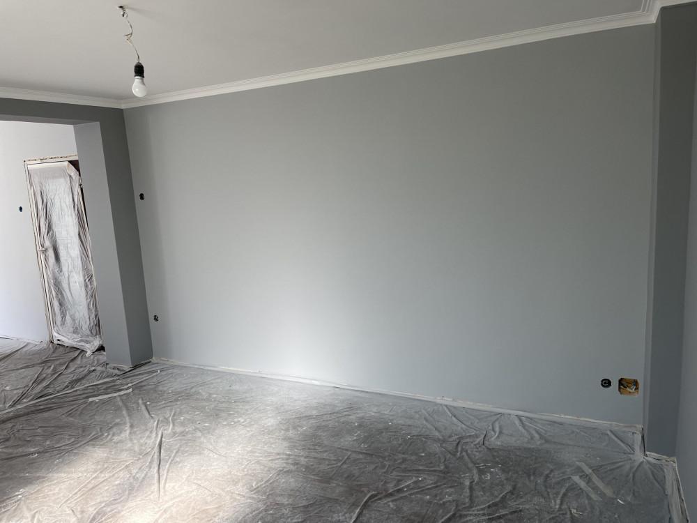 image_50368513-scaled