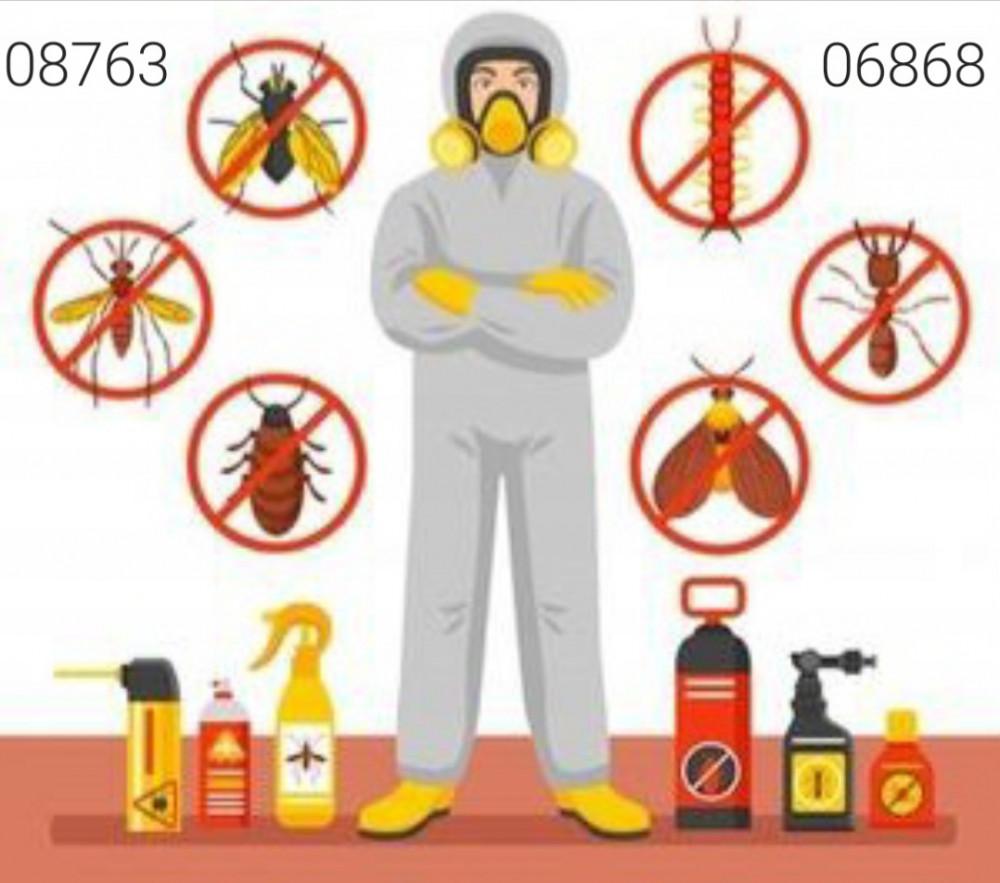 Screenshot_20250221_193826_Gallery