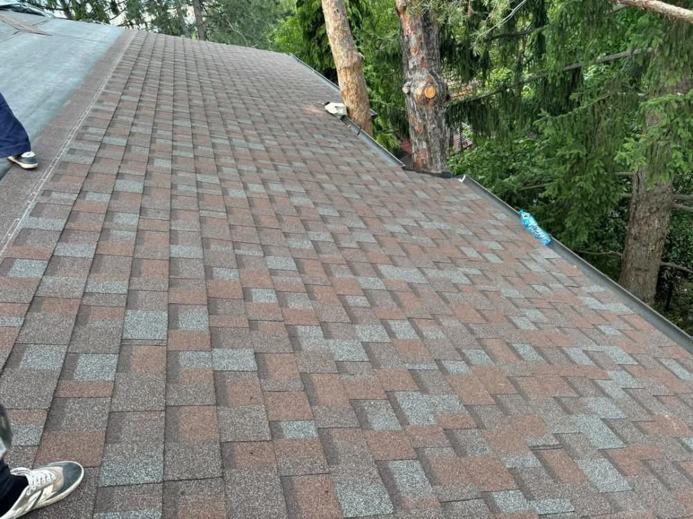 FB_IMG_1743719735474