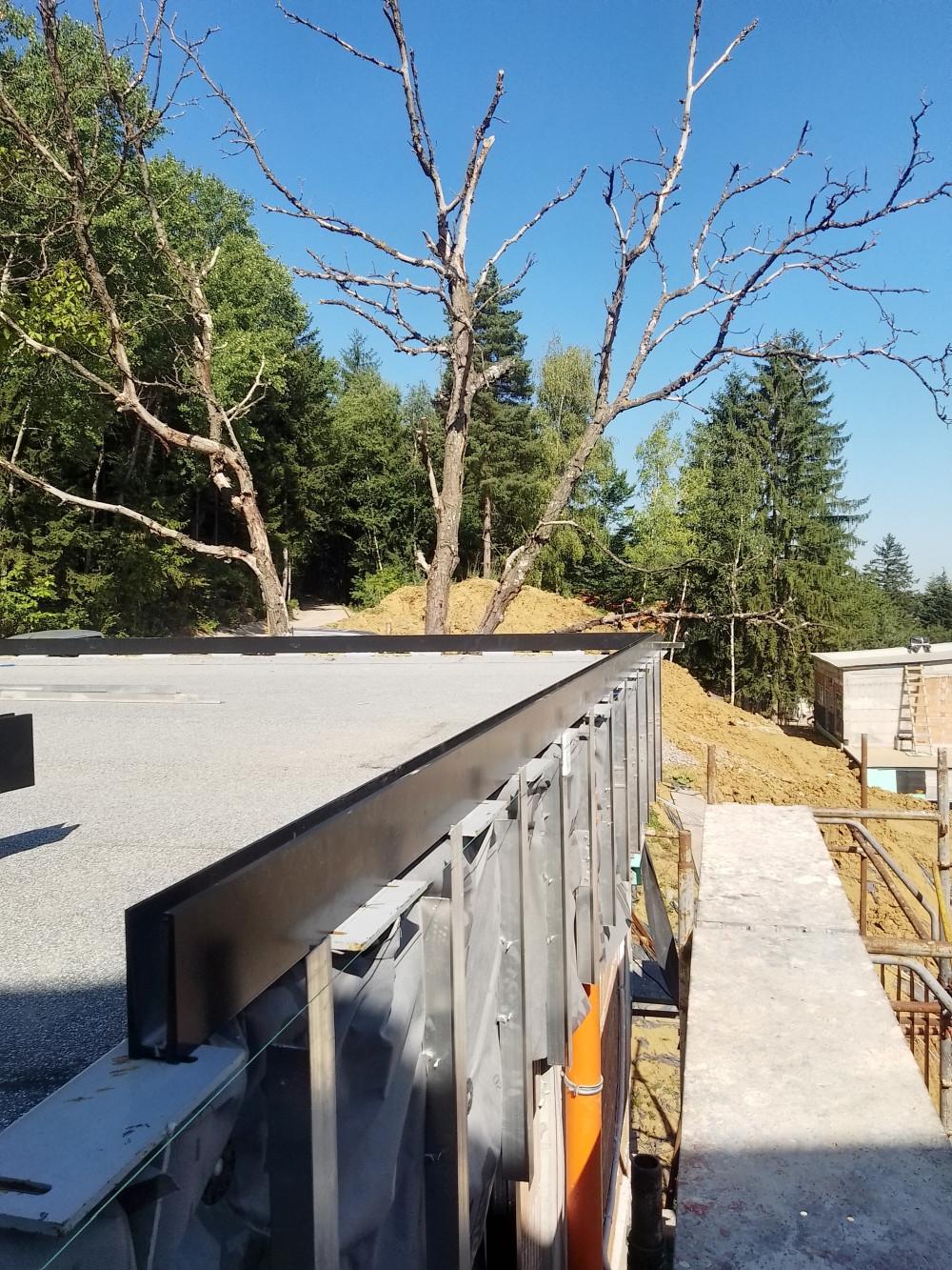 IMG_20240727_100424_HDR