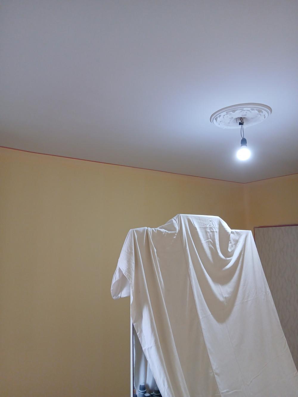 17589818958791251426061444576032