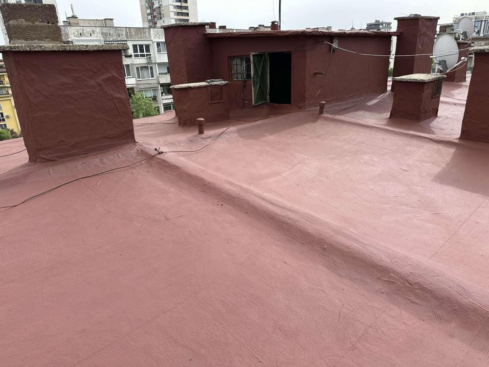 viber_image_2026-02-11_09-57-47-651