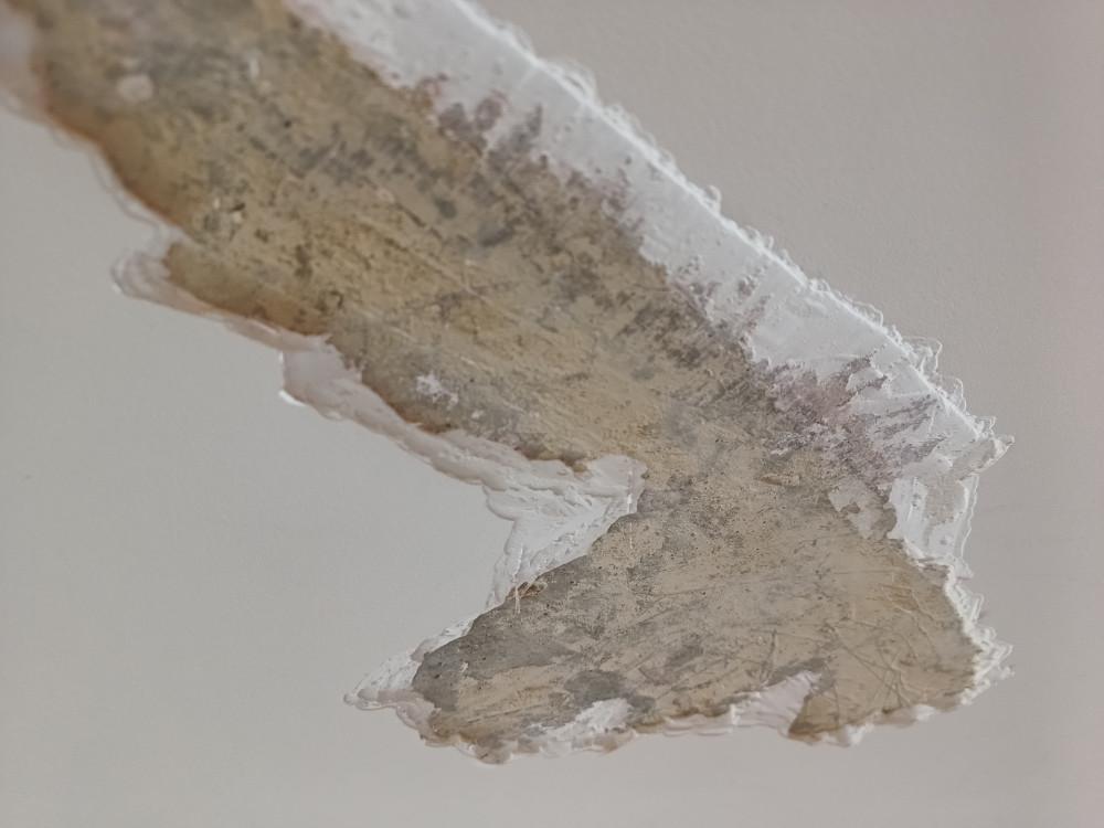 IMG_20260227_115424969