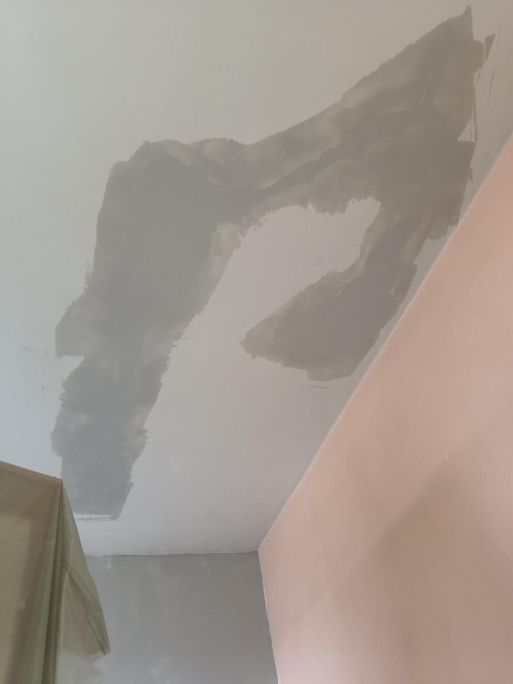 IMG_20260303_123243177