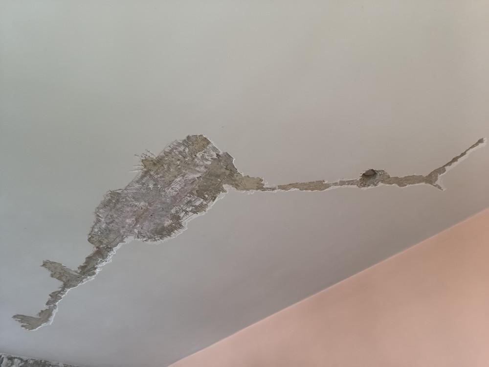 IMG_20260227_115409732