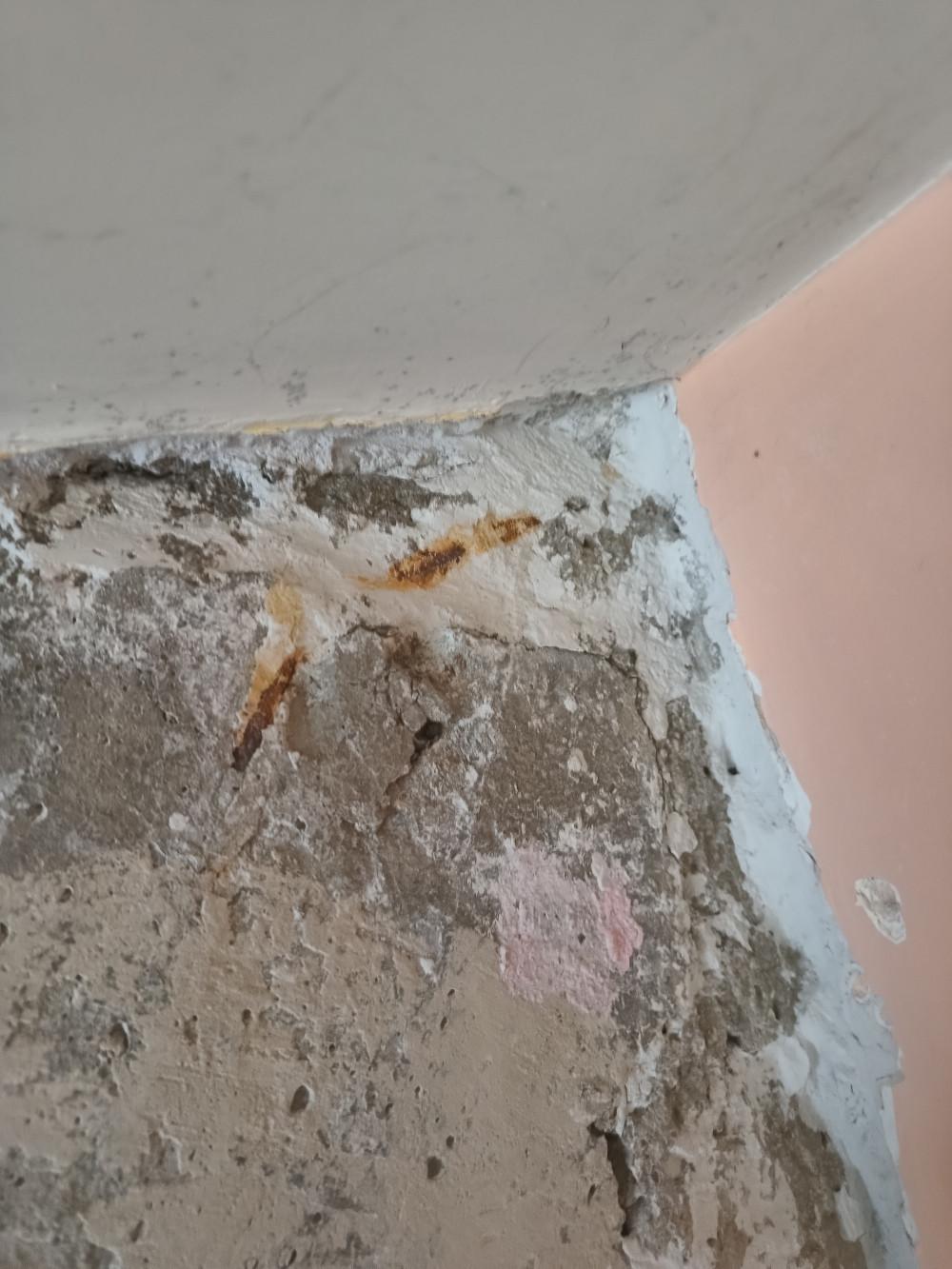 IMG_20260227_134626975