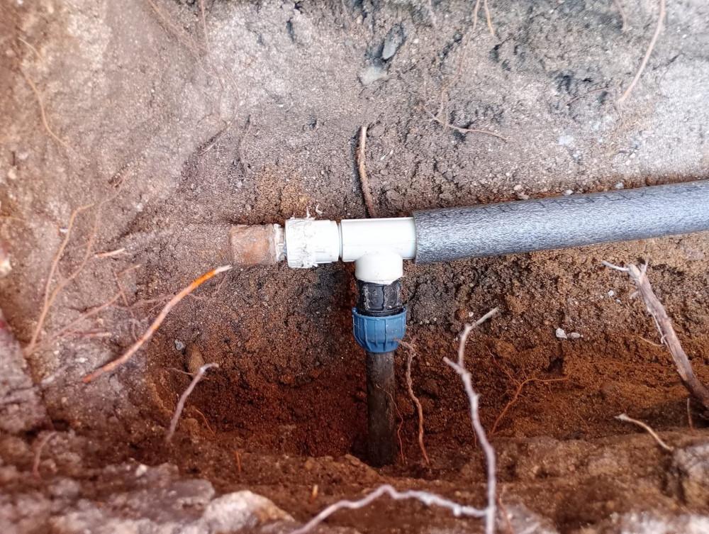 FB_IMG_1774366016101