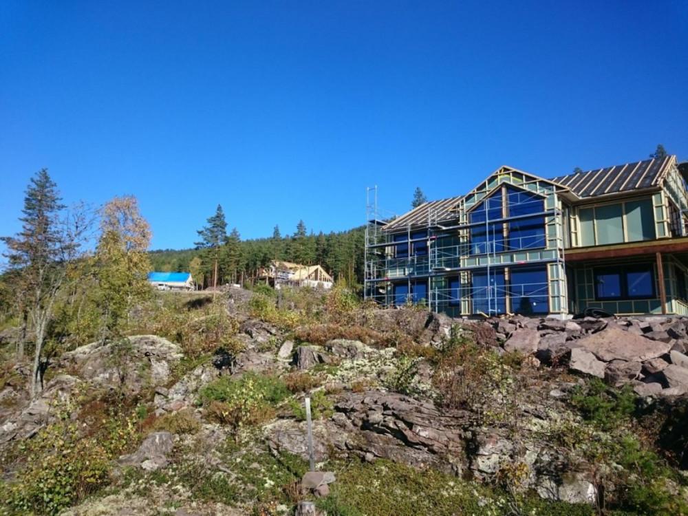 1000015802