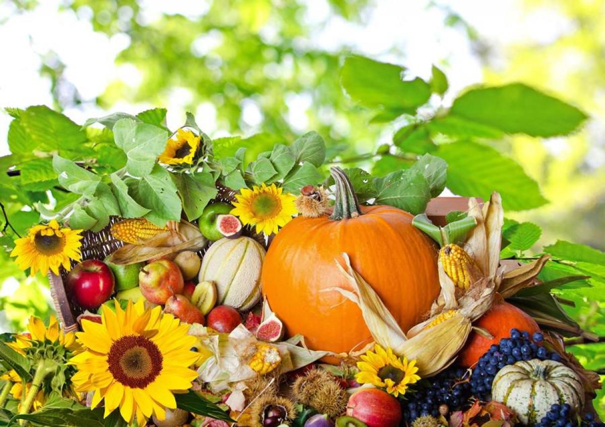 Наслаждавайте се на есенната реколта в градината