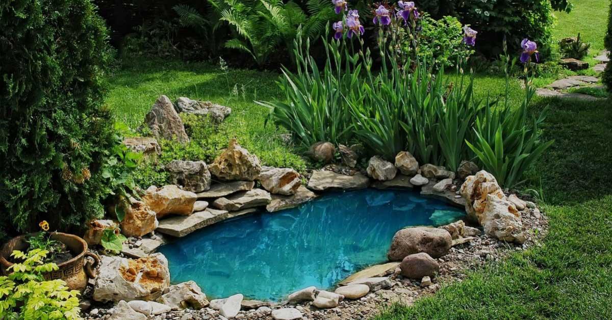 Оазис в градината: създаваме водоем
