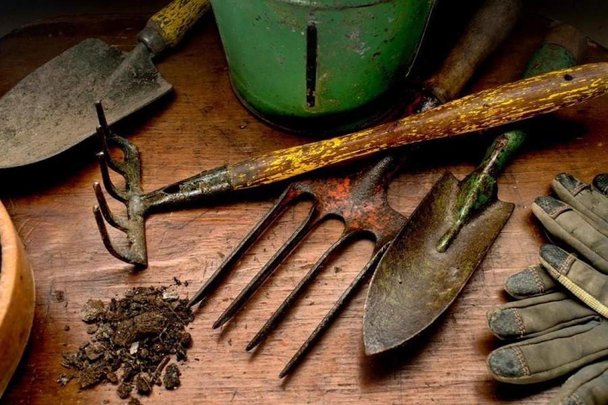 Кои инструменти за градина да се вземат на първо време