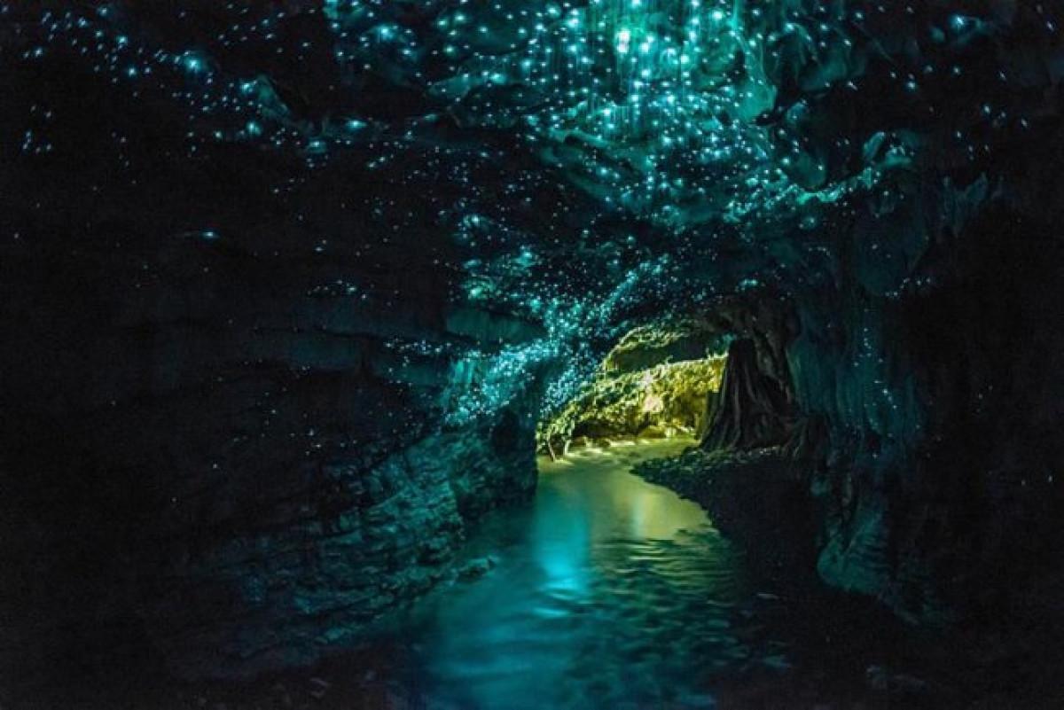 Пещерите със светещи червеи, Нова Зеландия