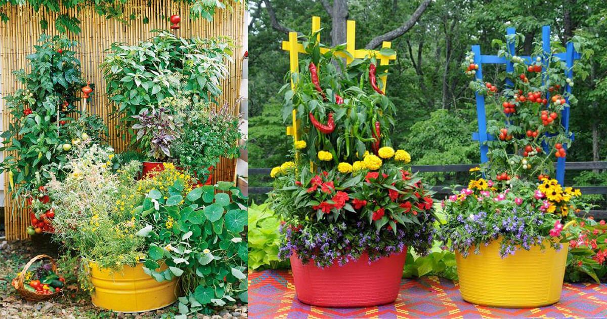 Естетично и полезно – зеленчуци и билки във вашата градска градина