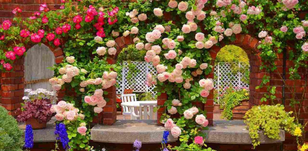 Лесни и ефектни идеи за декорация на градината