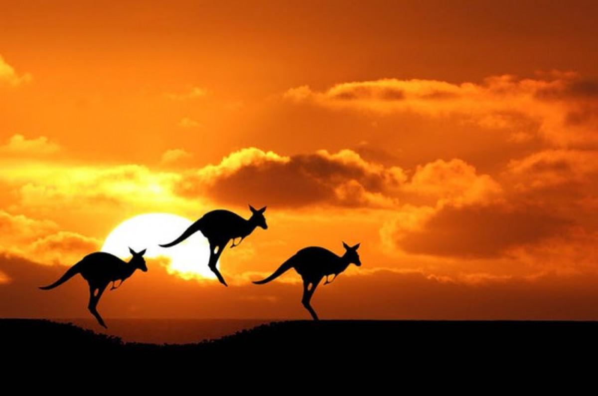 17 удивителни места в Австралия, които си струва да видите