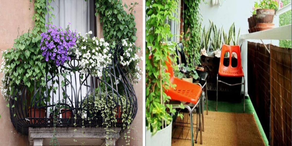 НЕ ПУБЛИКУВАЙ - 5 очарователни идеи за цветна градина за балкона