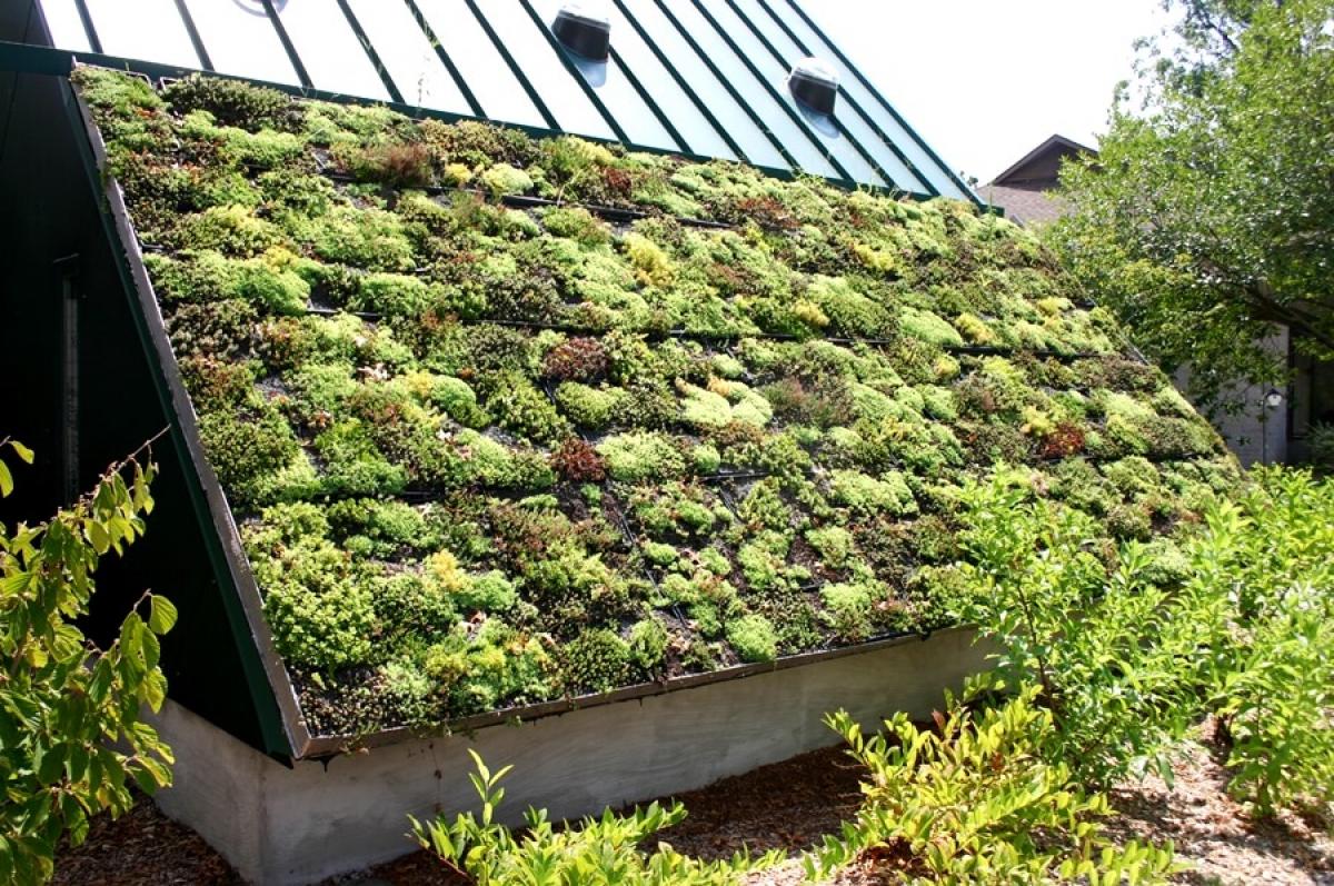 Зелени покриви за собствениците на къщи