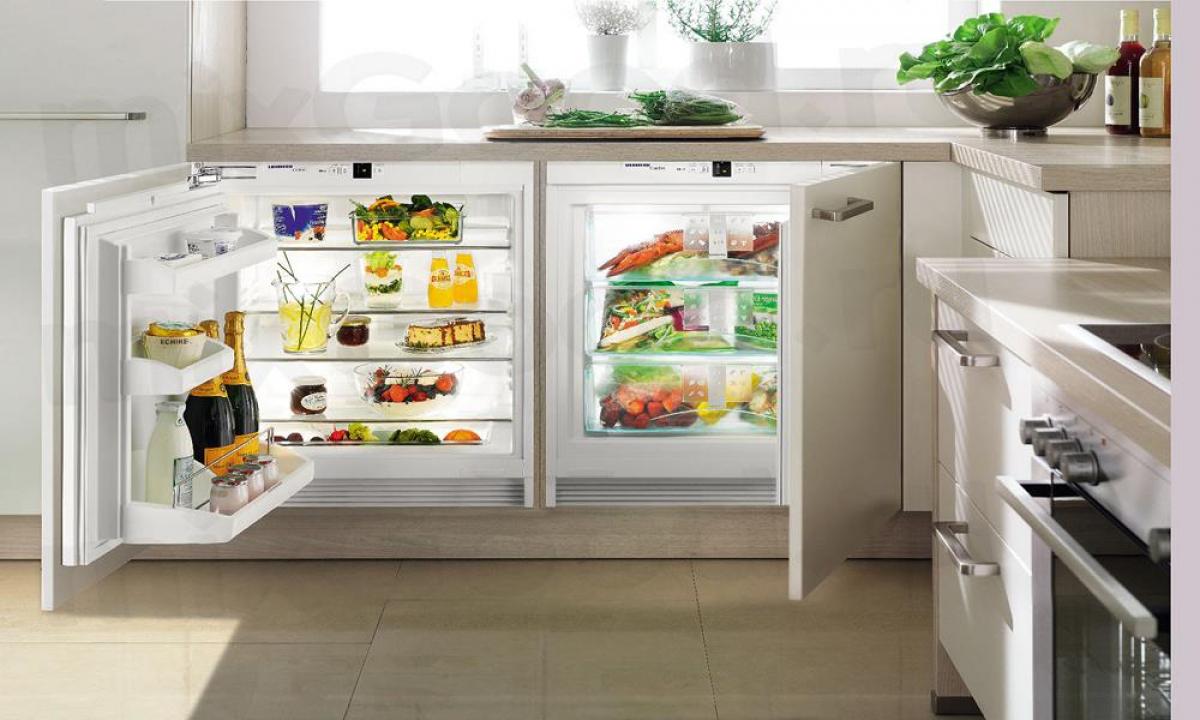 Без хладилник и кошче за отпадъци не може в кухнята