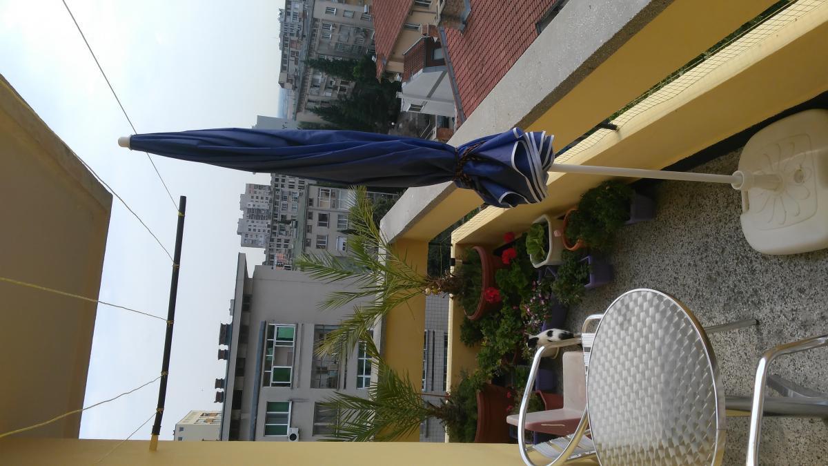 монтиране на специална предпазна мрежа за котки