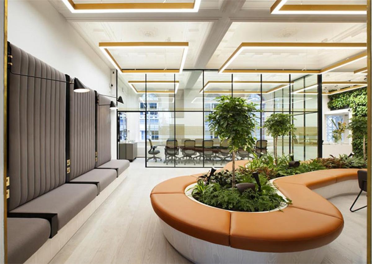 Зеленина в дизайна на офиса – екологично и стилно решение