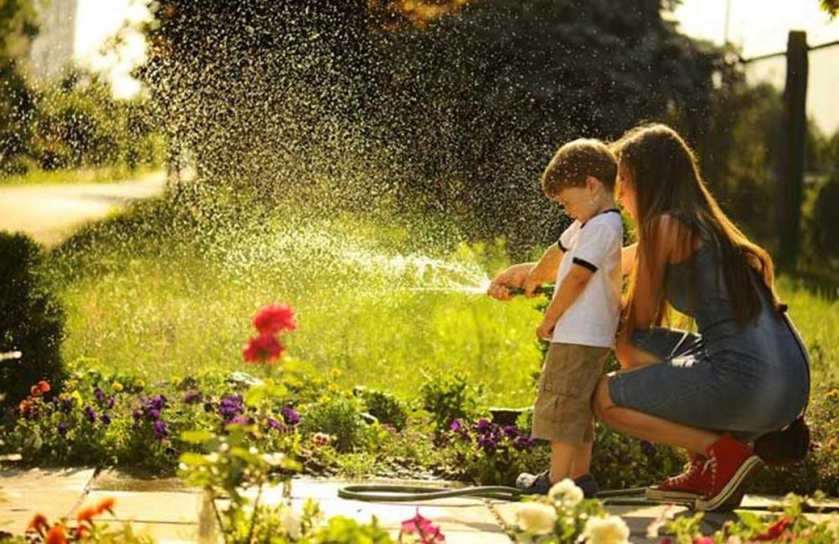С каква вода да поливаме цветята в градината?