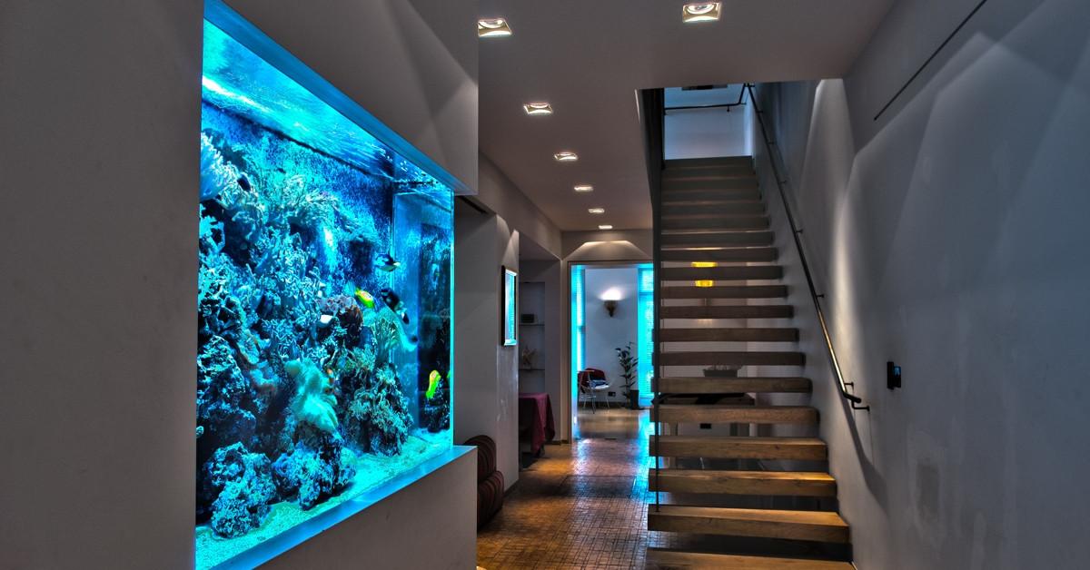 Красота и стил в дома с …аквариум – практически наръчник