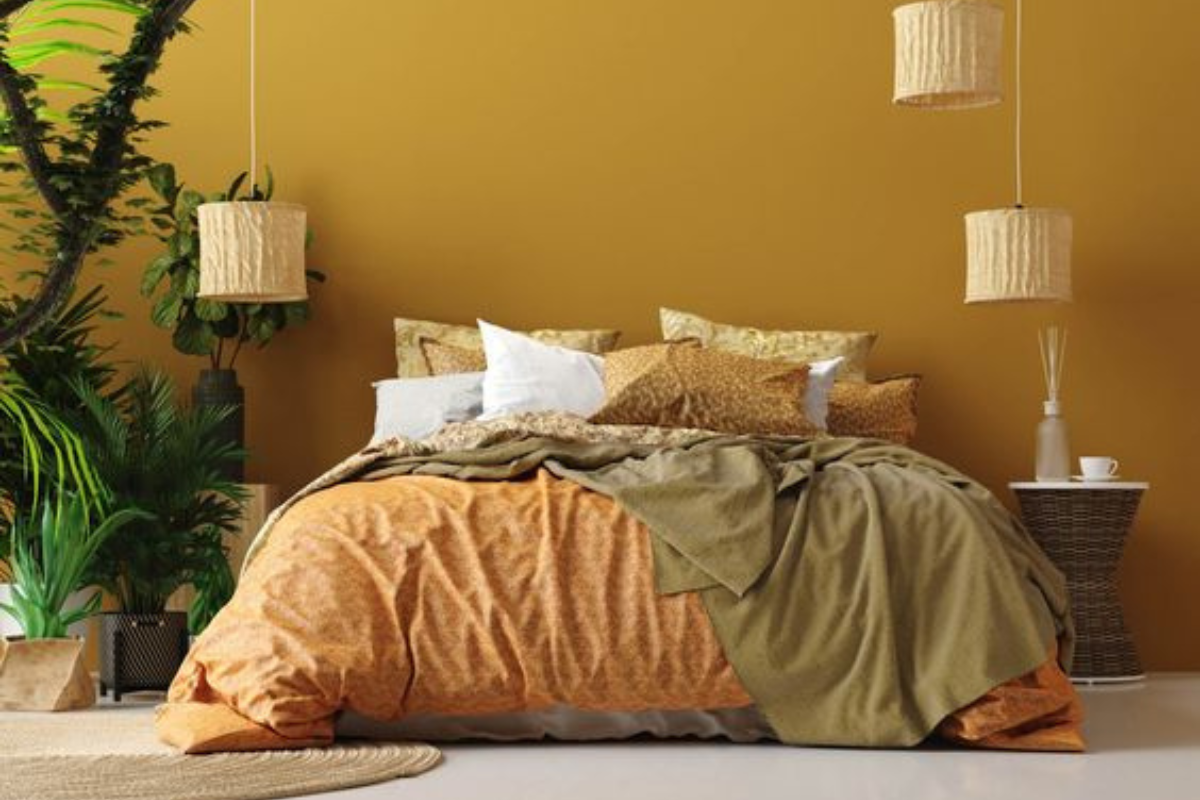 Стаи със северно изложение