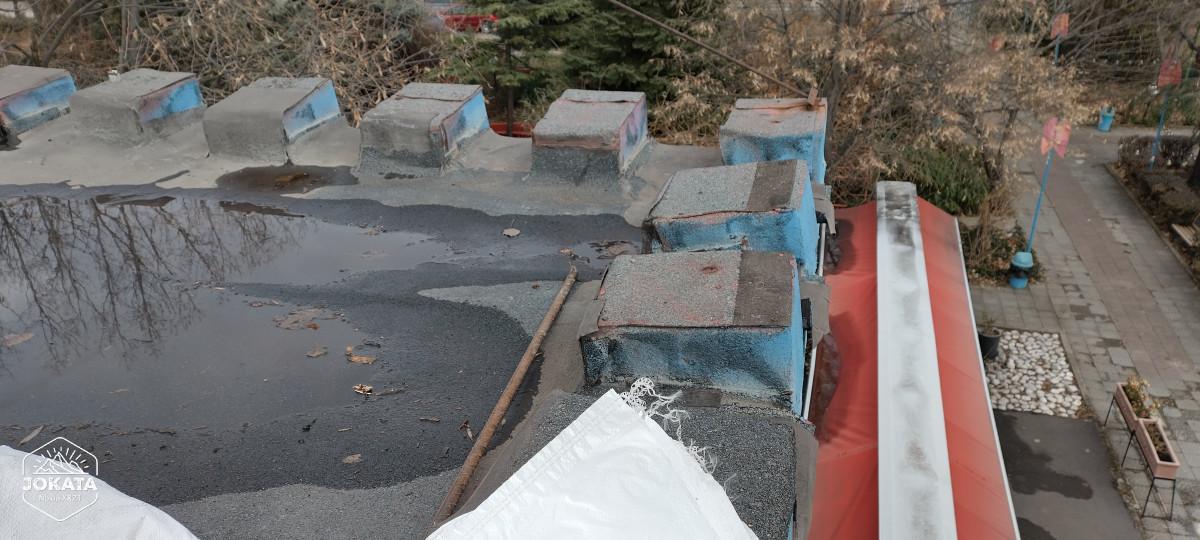 IMG_20241212_130201_HDR