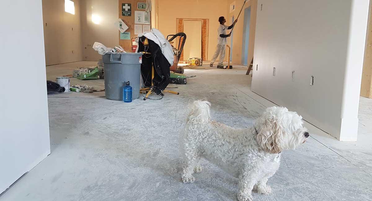 Ремонт в жилище под наем – какво можеш и какво не