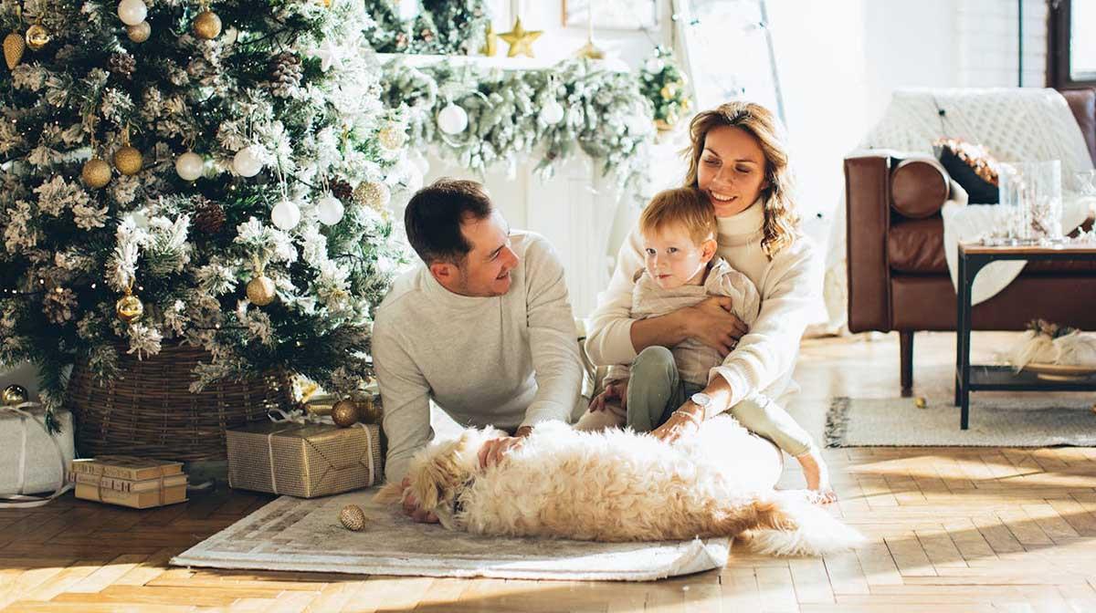 Къде да скриеш всичките подаръци, ако децата са навсякъде?