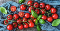 Как да отгледаме Чери домати -  практични съвети