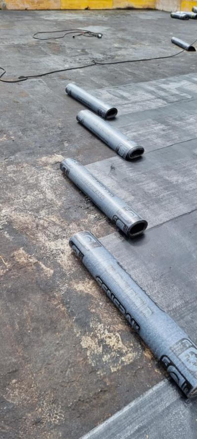 Messenger_creation_D6394259-8BD3-49C5-8218-735A403AF4C7