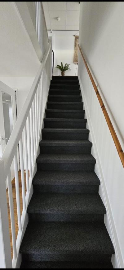 Screenshot_20260212_183236_Gallery