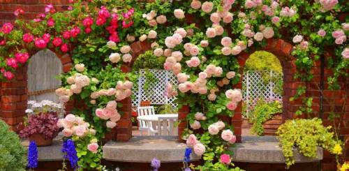 Лесни и ефектни идеи за декорация на градината