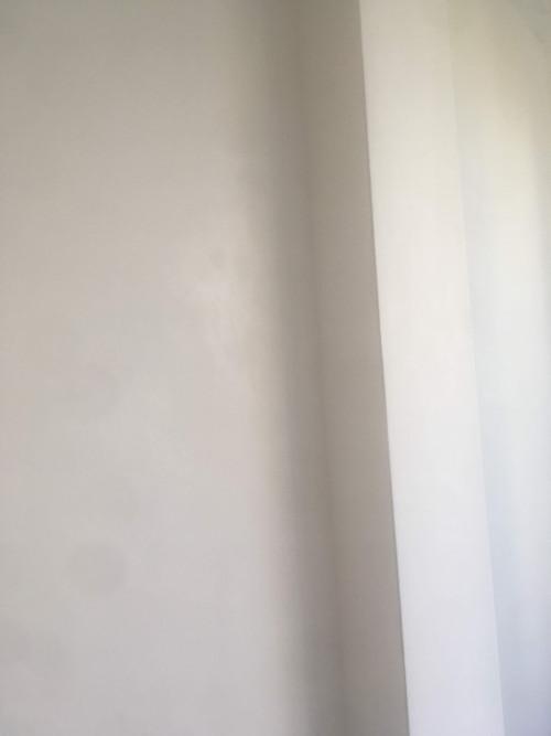 inbound5355242417888767761