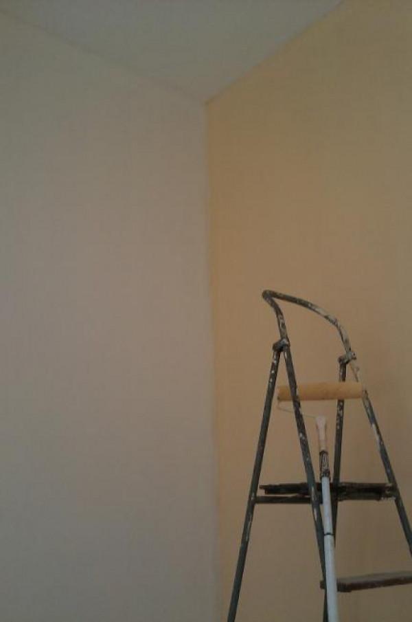 Снимка  от Николай Генов