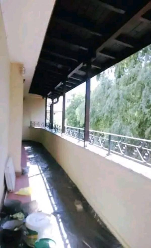 FB_IMG_16674987828171007_084250